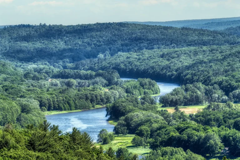 A vast landscape featuring a winding river flowing through lush green forests and rolling hills under a clear blue sky.