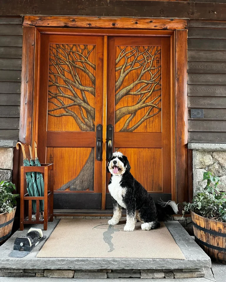 A beautifully carved wooden door with a tree design, accompanied by a dog sitting on the porch and greenery around.