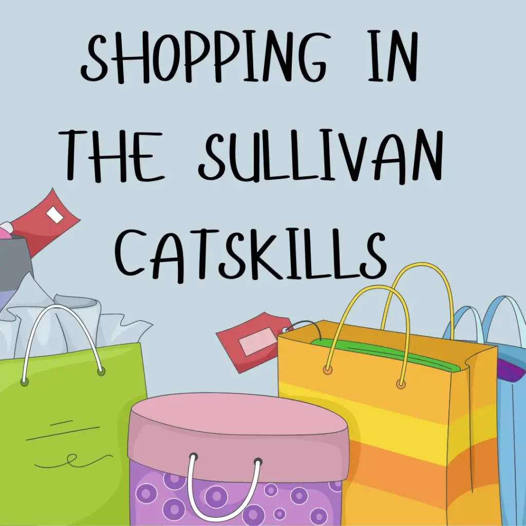 Colorful shopping bags with text promoting shopping in the Sullivan Catskills region.