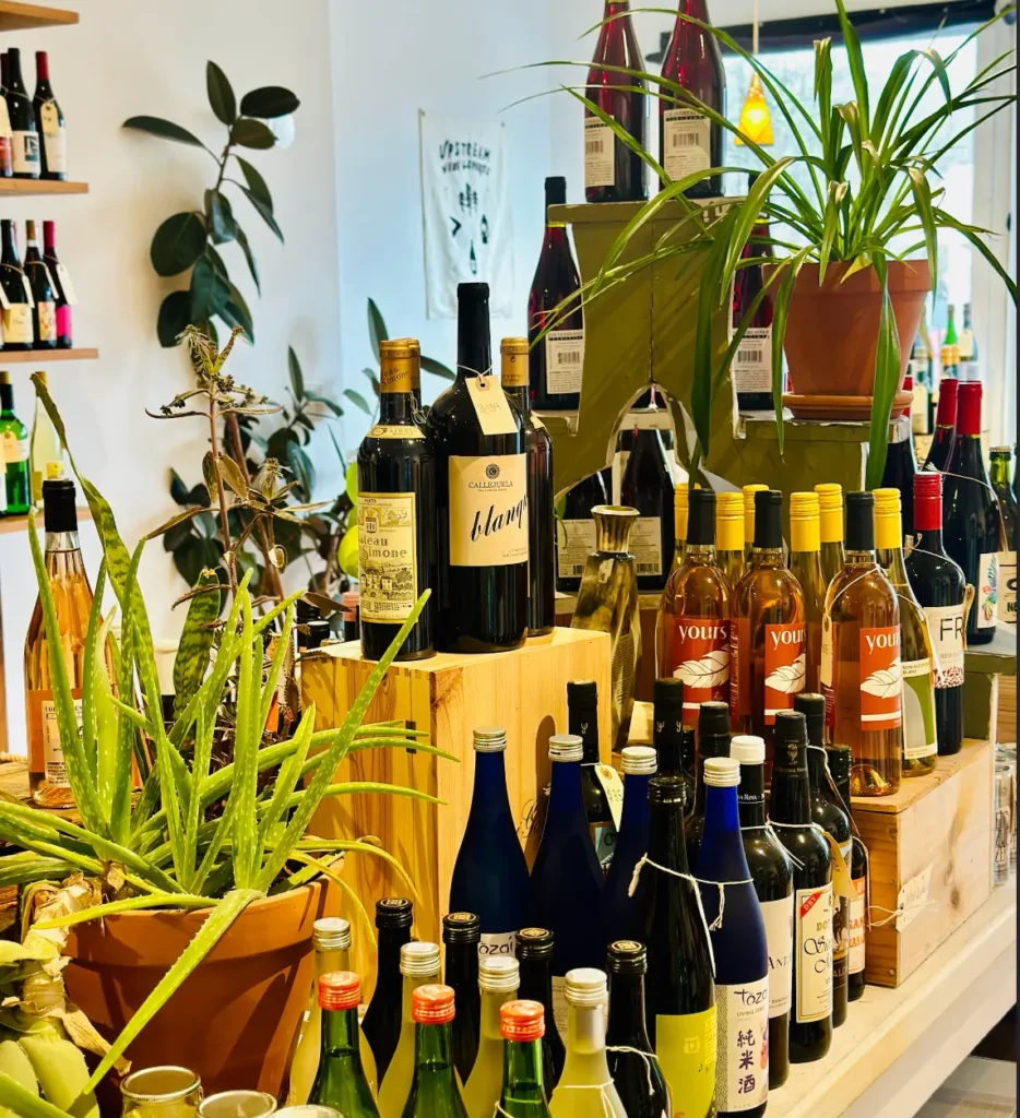 A vibrant display of various wine bottles and plants arranged on shelves and tables in a cozy setting.