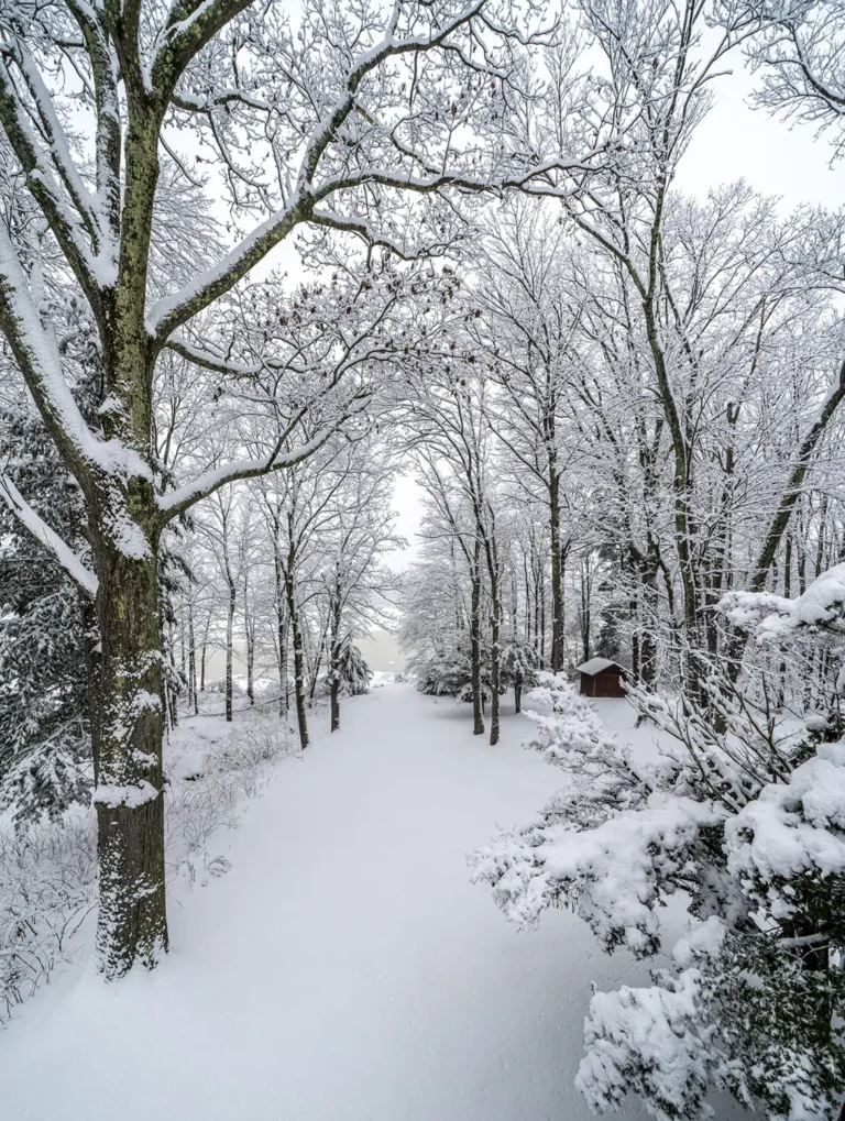 A beautiful snowy trail invites winter hikers in the Catskills.