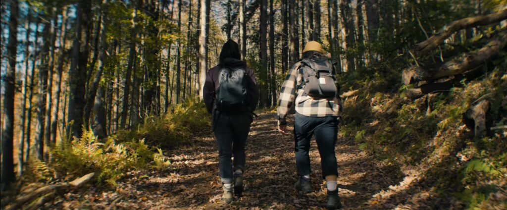 Two hikers trekking along a scenic mountain trail, surrounded by lush greenery and breathtaking views.