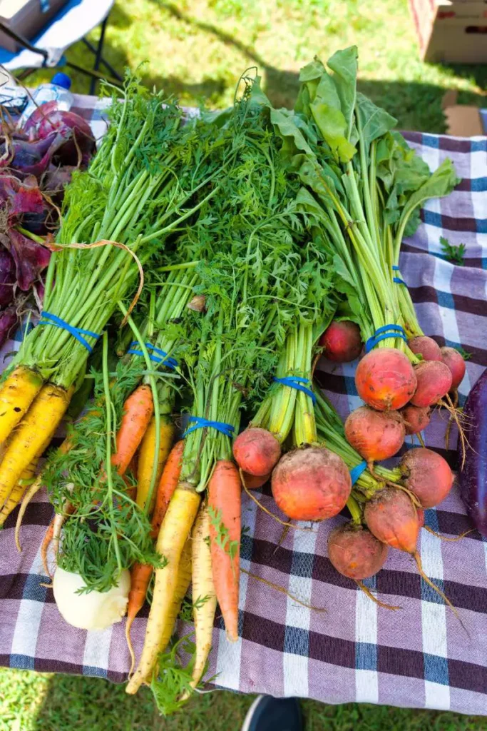 A colorful assortment of fresh root vegetables, including carrots and radishes, tied together and displayed on a checkered tablecloth.