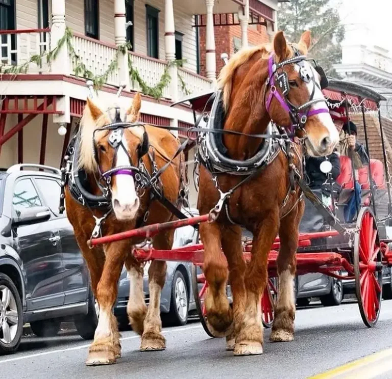 Two strong horses in harness pull a red carriage along a street with buildings and parked cars in the background.