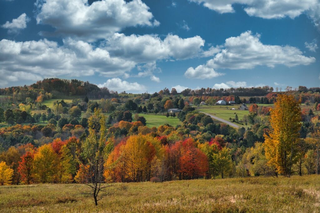 Fall foliage landscape in Sullivan Catskills. 