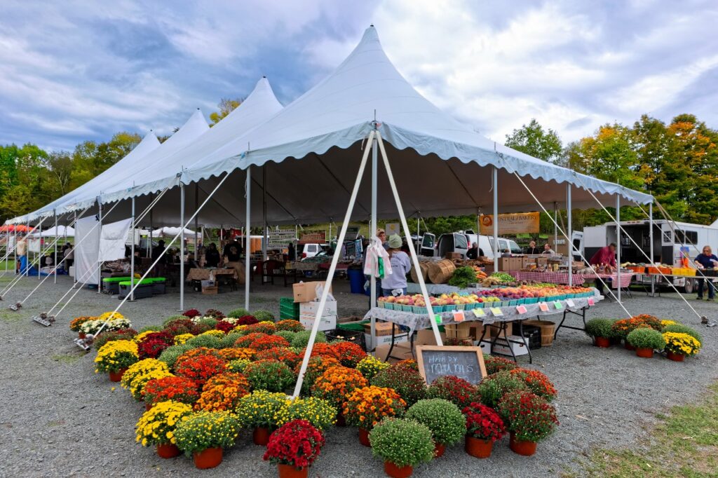 Fall flowers and produce on display under a tent at the Harvest Festival in Bethel. 