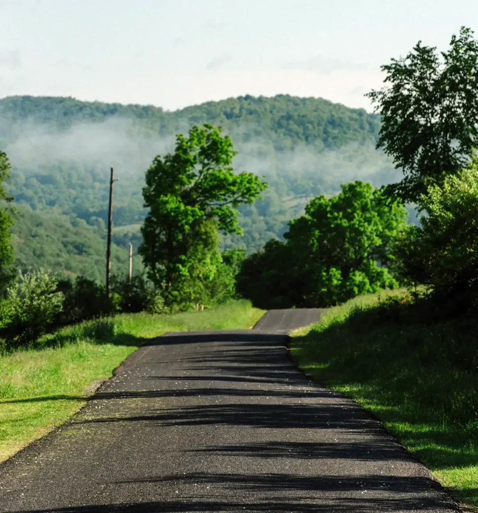 A winding asphalt road bordered by lush greenery and tall trees, leading toward misty hills in the background.