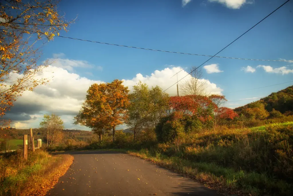 A scenic rural road bordered by trees displaying autumn colors, under a bright blue sky with fluffy clouds.