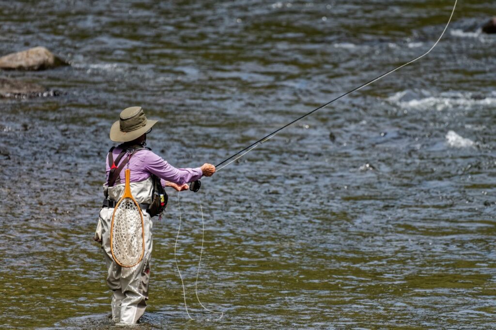 A female angler casts a fly on a river in the Sullivan Catskills. 