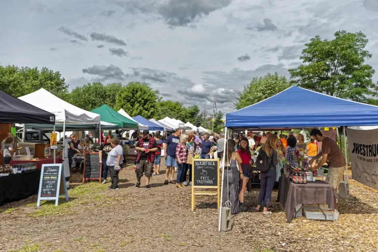 A bustling outdoor market scene with various tents set up, people shopping, and lush greenery in the background under a cloudy sky.