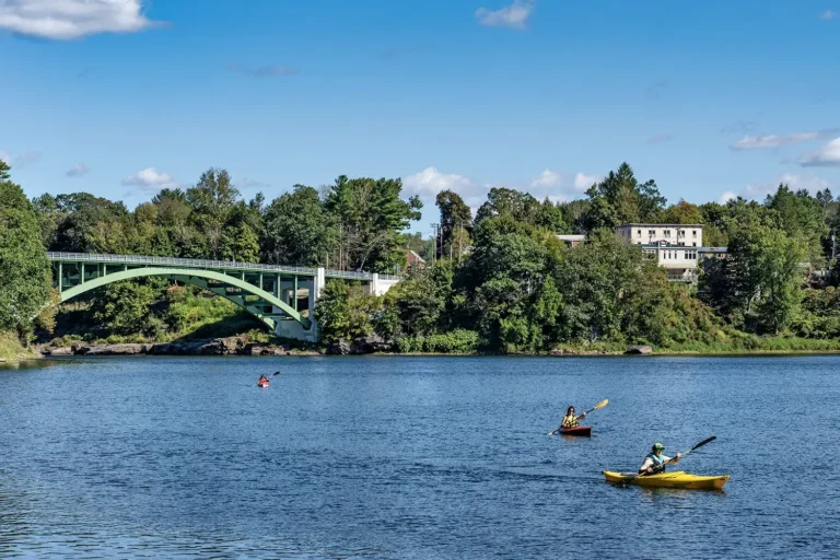 Two kayakers paddling on a calm river near a green bridge and lush trees under a clear blue sky.