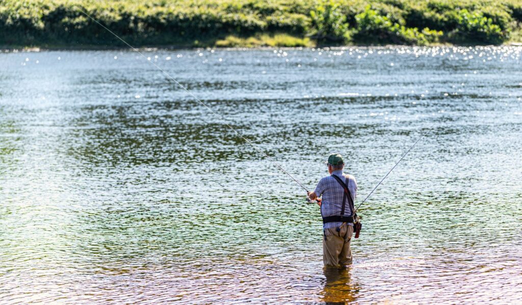 A man stands in a river fly fishing in the Sullivan Catskills.