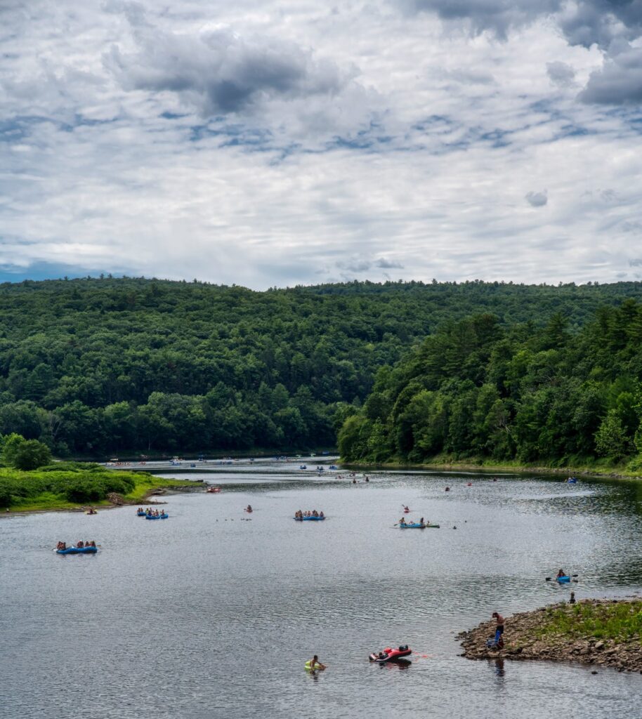 A Guy, a Dog and a Duck on a Paddleboard : Just Another Day on the Delaware