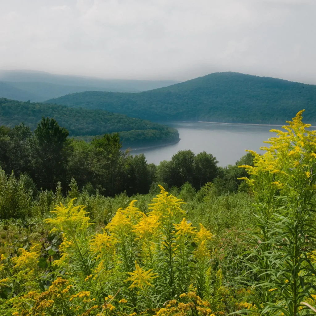Lush green landscape with vibrant yellow flowers in the foreground, overlooking a serene body of water surrounded by mountains and misty skies.