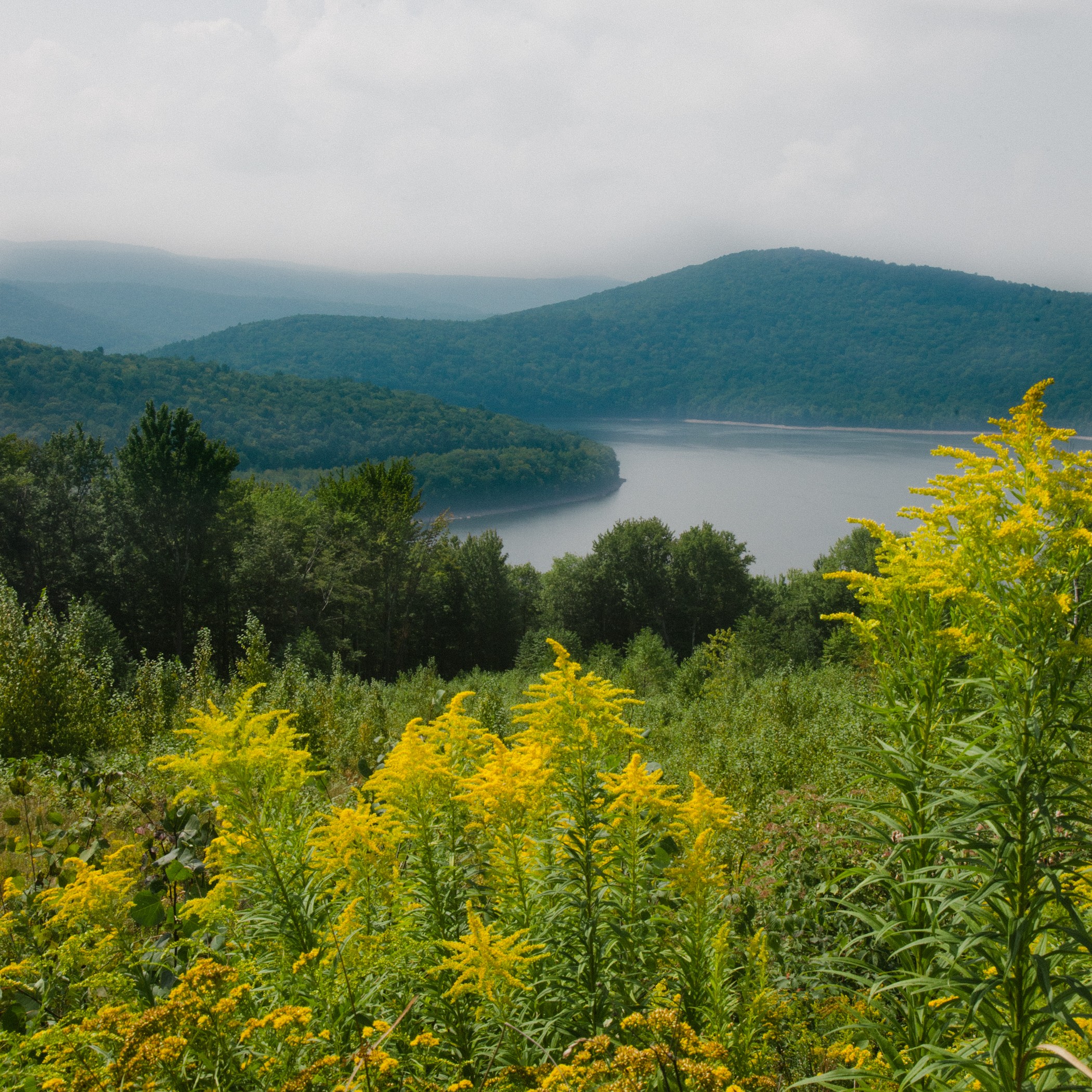 A reservoir in mist surrounded by fall foliage in the Sullivan Catskills.