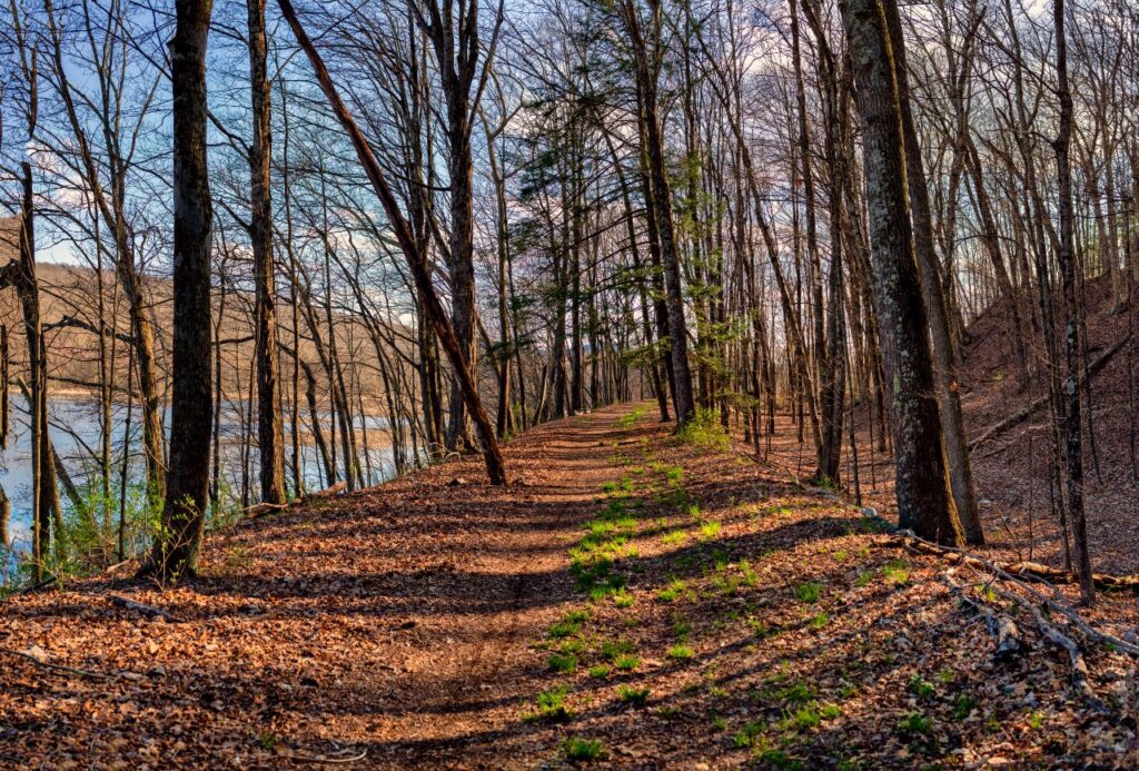 A trail covered in fallen leaves follows along a lake in the Catskills. 