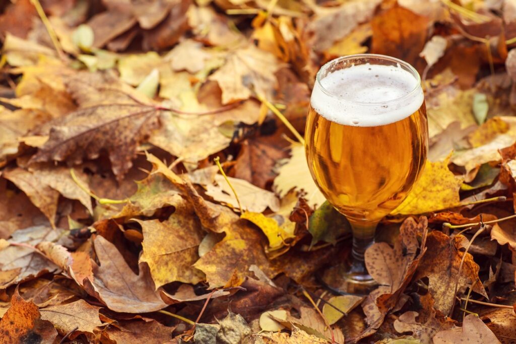 A glass of amber beer sits on a bed of dry, fallen autumn leaves in shades of brown, yellow, and orange.