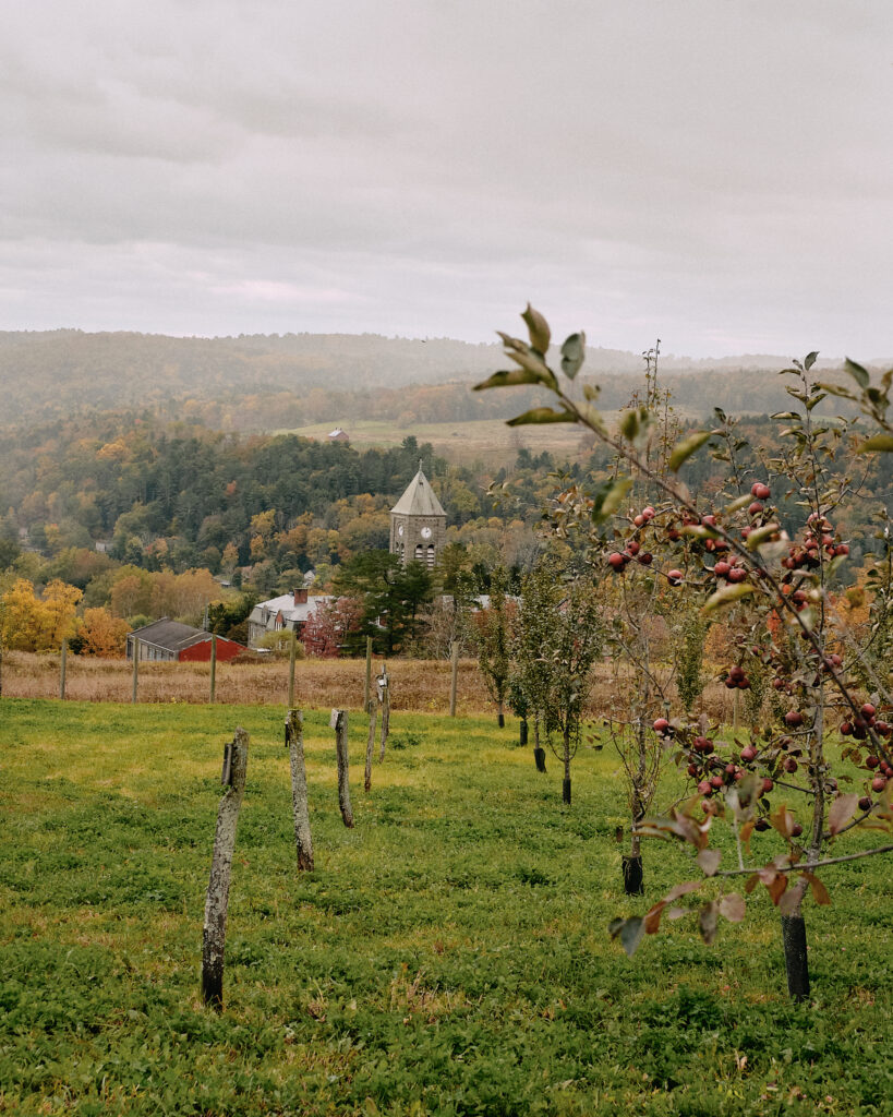 A rural landscape with an apple orchard in the foreground, rolling green and autumn-colored hills in the background, and a gray church with a steeple at the center of a small village.