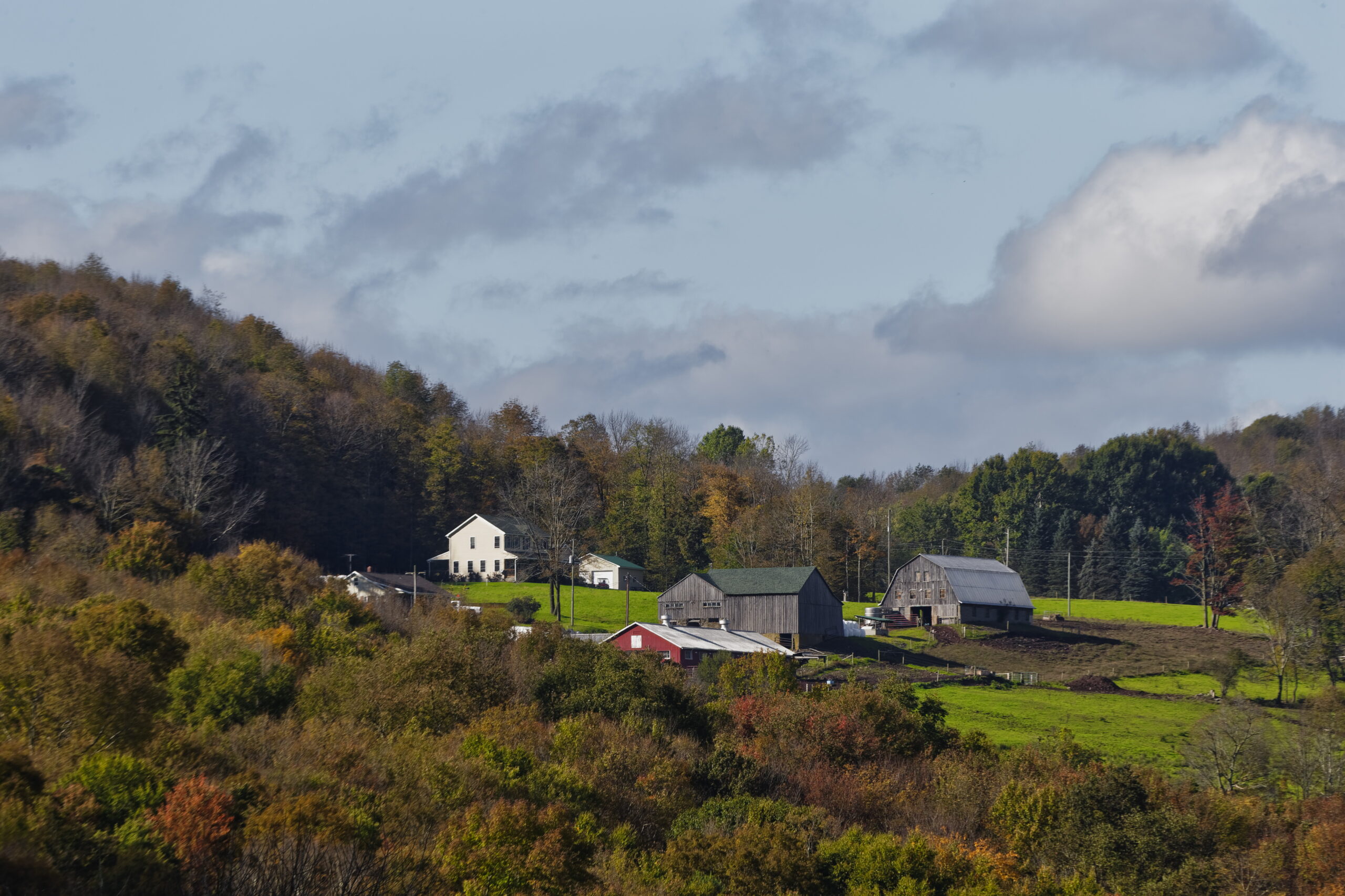 A pastoral landscape in the Sullivan Catskills.