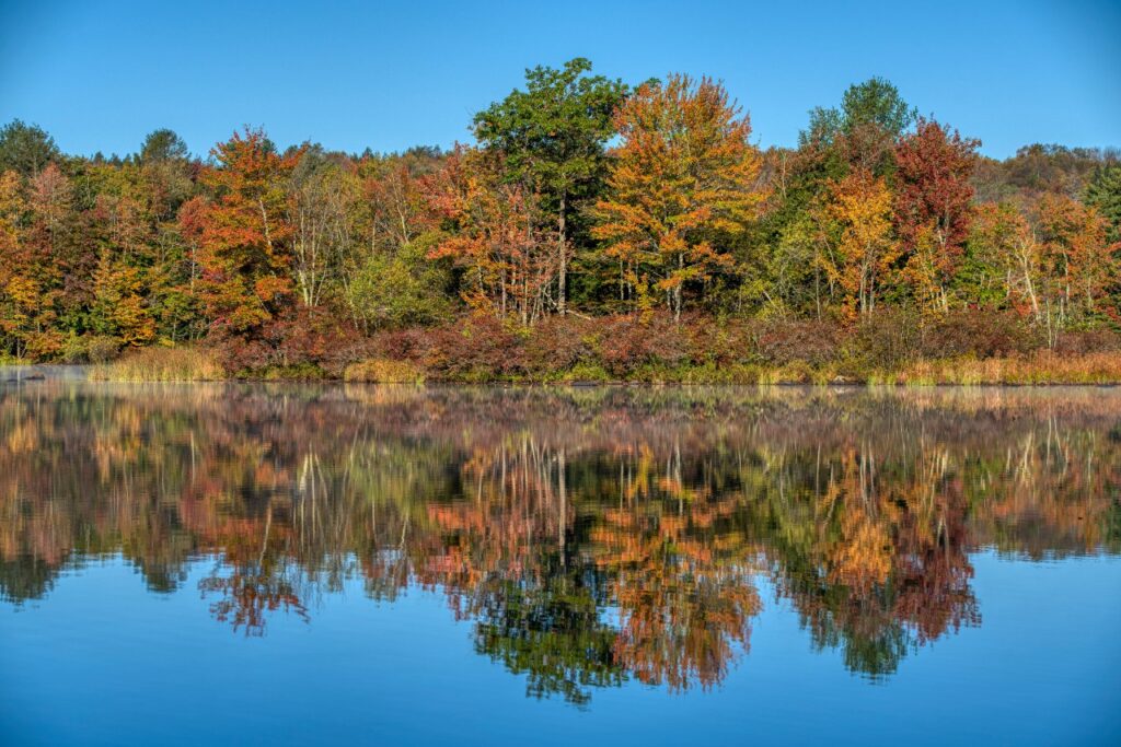 A Catskills pond surrounded by fall foliage.
