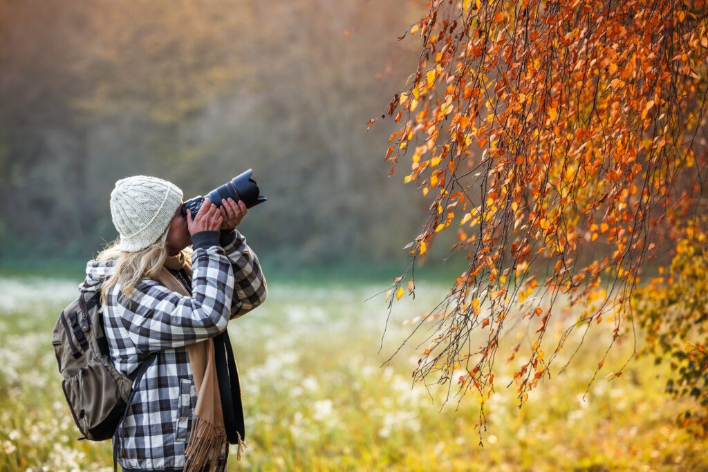 A woman takes close up photos of fall foliage in the Catskills.