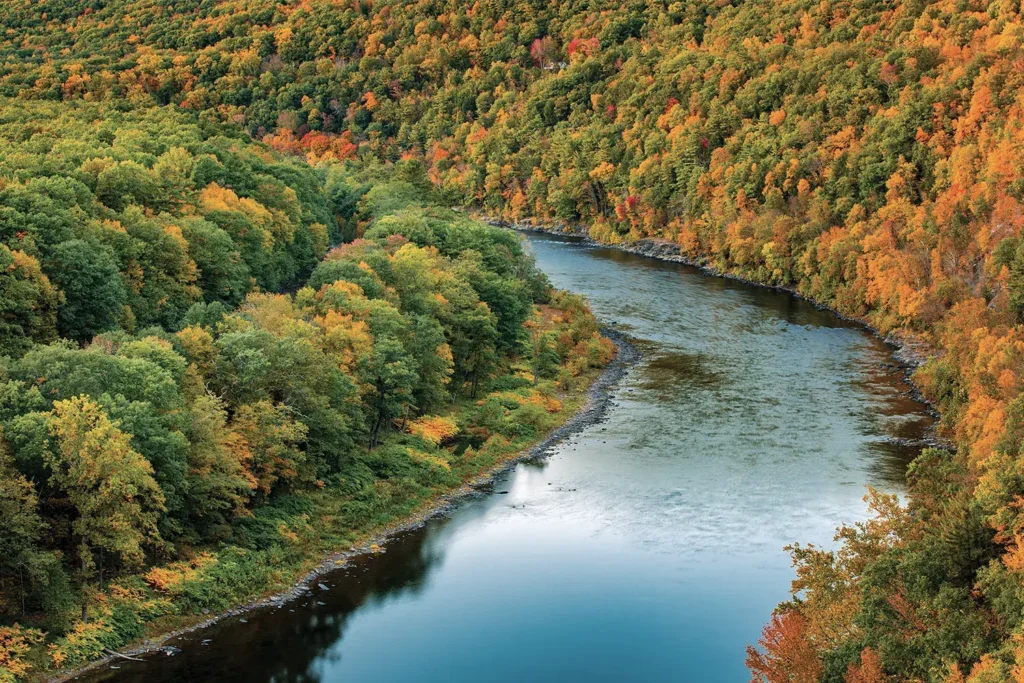 A winding river flows through a vibrant forest, showcasing autumn hues of orange, yellow, and green, reflecting a serene and picturesque landscape.