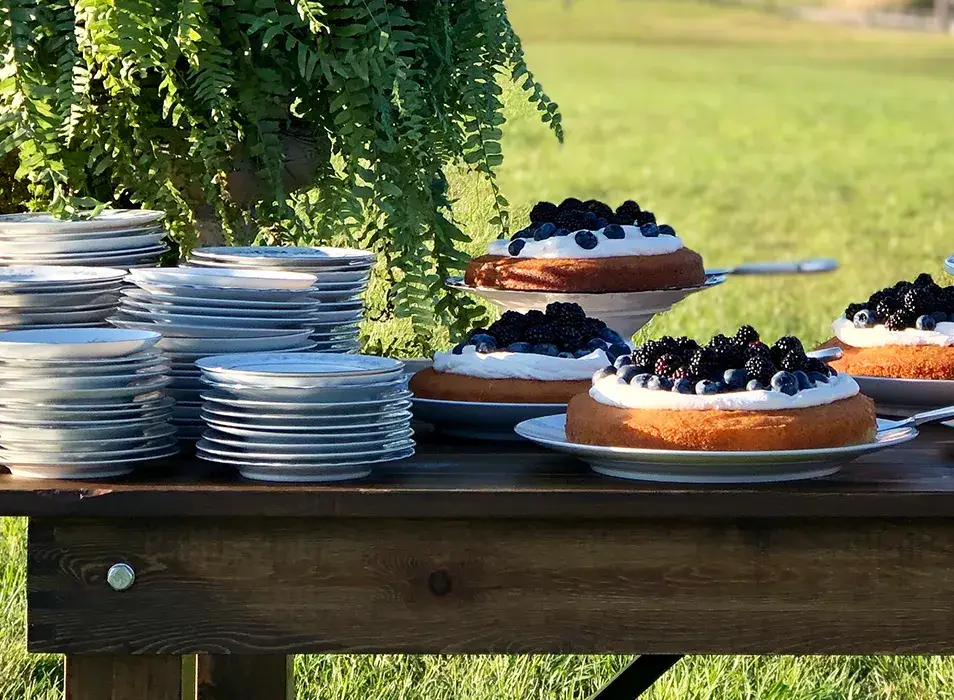 beautiful table with desserts for group buffet