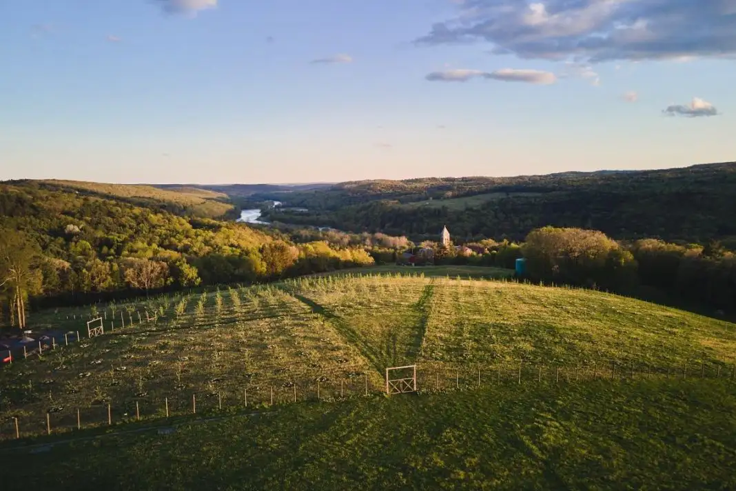 A scenic landscape showcasing rolling hills, vineyards, and a river, under a clear sky with soft clouds in the late afternoon light.