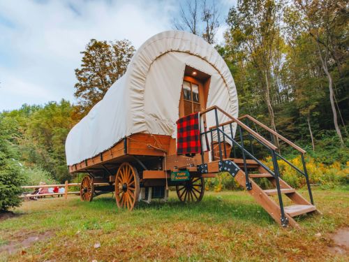 A rustic wooden wagon with a white cover, set on wheels in a natural outdoor environment surrounded by trees.