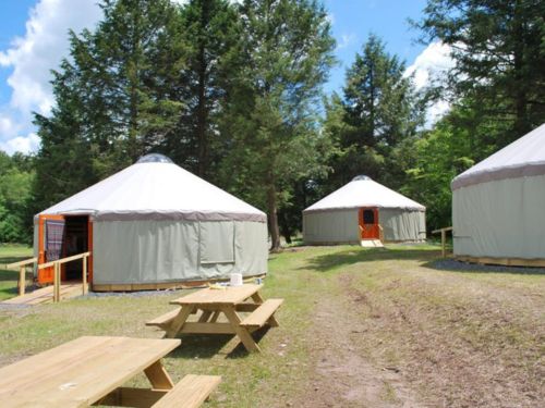 Three yurts surrounded by trees, with picnic tables in the foreground under a bright blue sky.