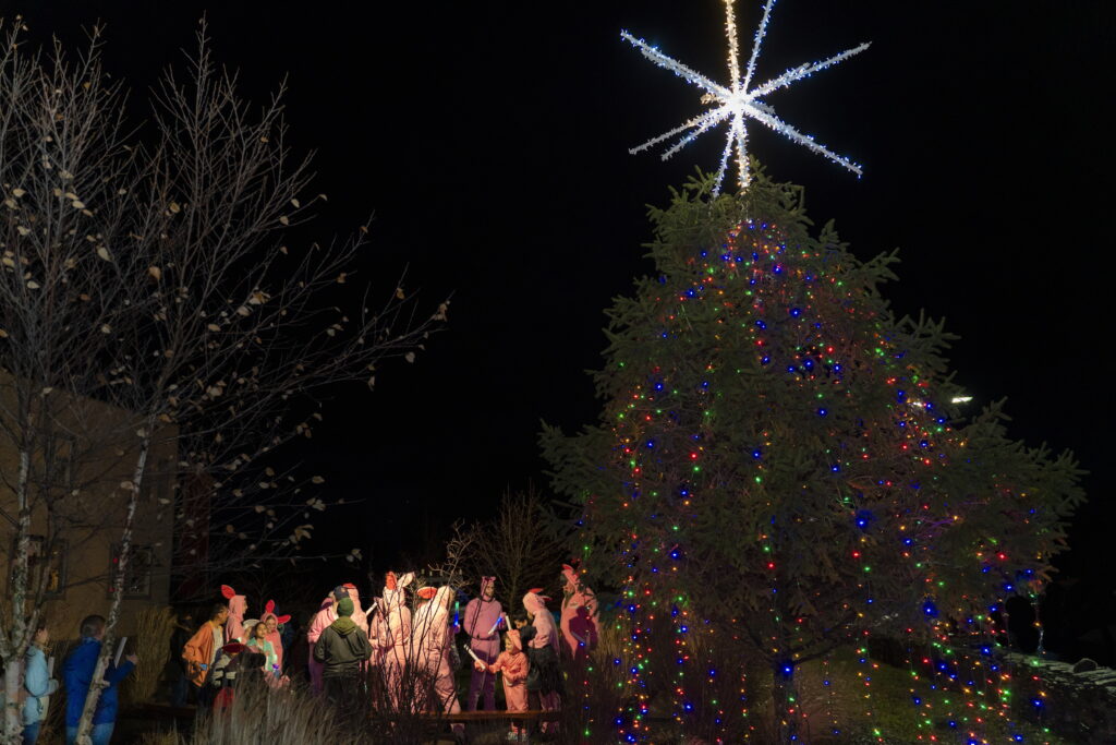 Jingle Bells & Homemade Magic in the Catskills