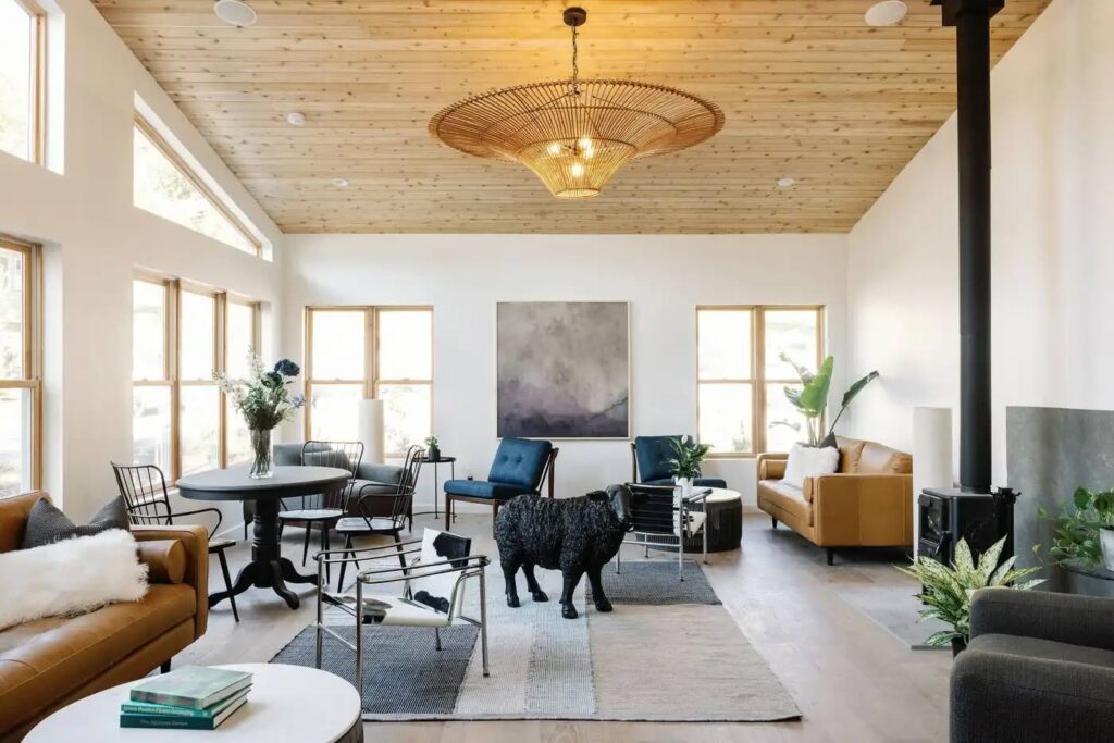 A stylish living room with wooden ceiling, bright windows, comfortable seating, modern decor, and a black dog on a patterned rug.