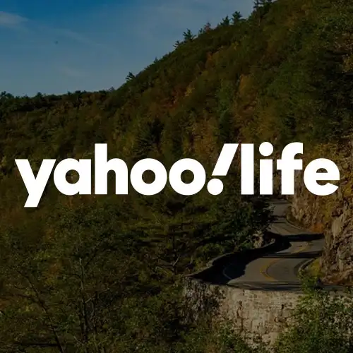 A winding road through lush green hills with a logo overlay of 'yahoo!life' in bold white letters.