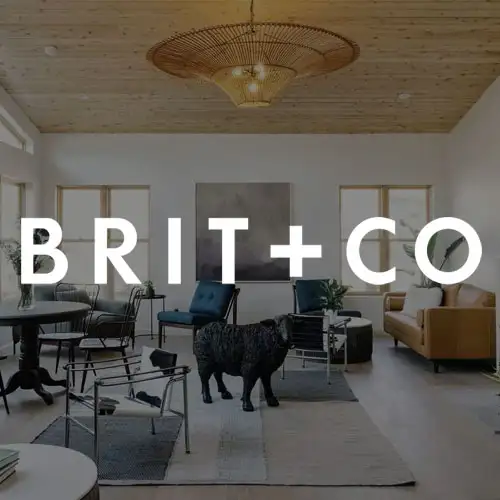 A stylish, modern living room featuring wooden ceilings, a cozy seating area, a large artwork, and a pet dog on the floor.