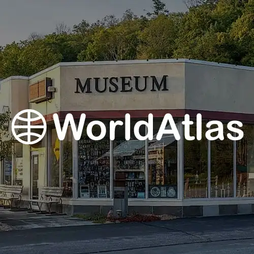 A building labeled 'MUSEUM' with large windows, surrounded by greenery and located on a street.