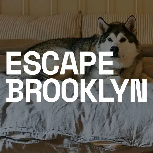 A cozy dog lounging on a bed, accompanied by bold text reading 'ESCAPE BROOKLYN'.