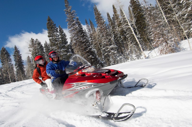 Two snowmobilers fly through the snow surrounded by evergreen trees.