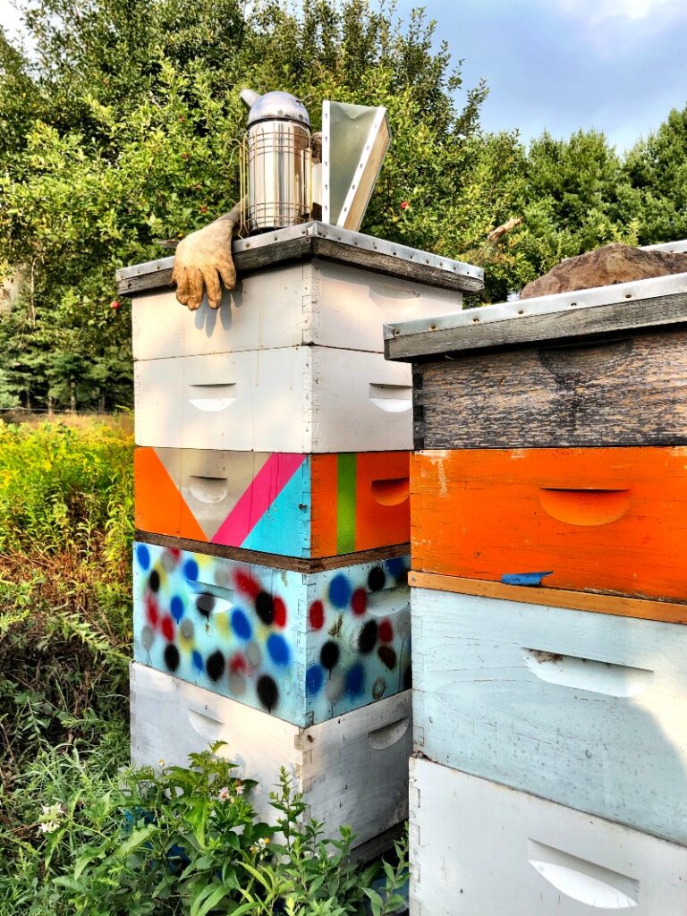 Co-owner of 2 Queens Coffee, Martin Higgins' beehives.