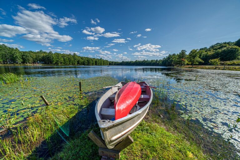 A peaceful lakeside scene featuring a small boat with a red canoe resting near lush greenery under a bright blue sky.