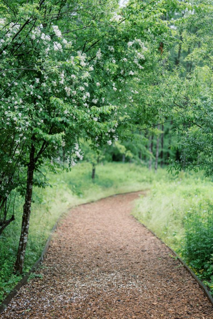 The winding Ceremonial Path through lush greenery and flowering trees, inviting exploration in a tranquil natural setting at Callicoon Hills Resort. 