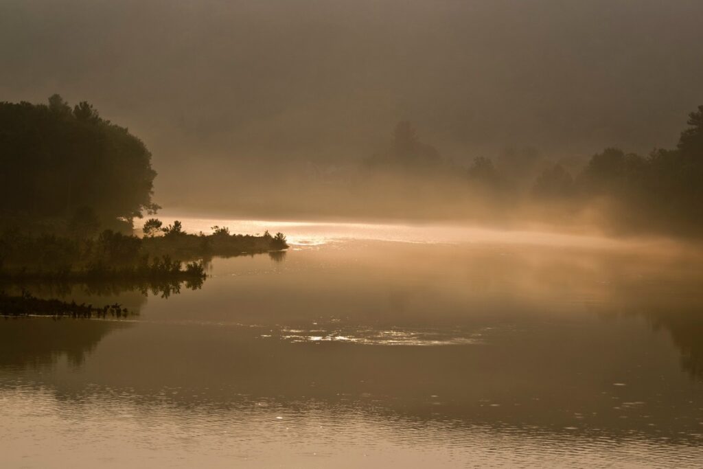 Ten Mile River Access in Sullivan Catskills shrouded in mist, reflecting soft light during dawn, surrounded by trees and a tranquil atmosphere.