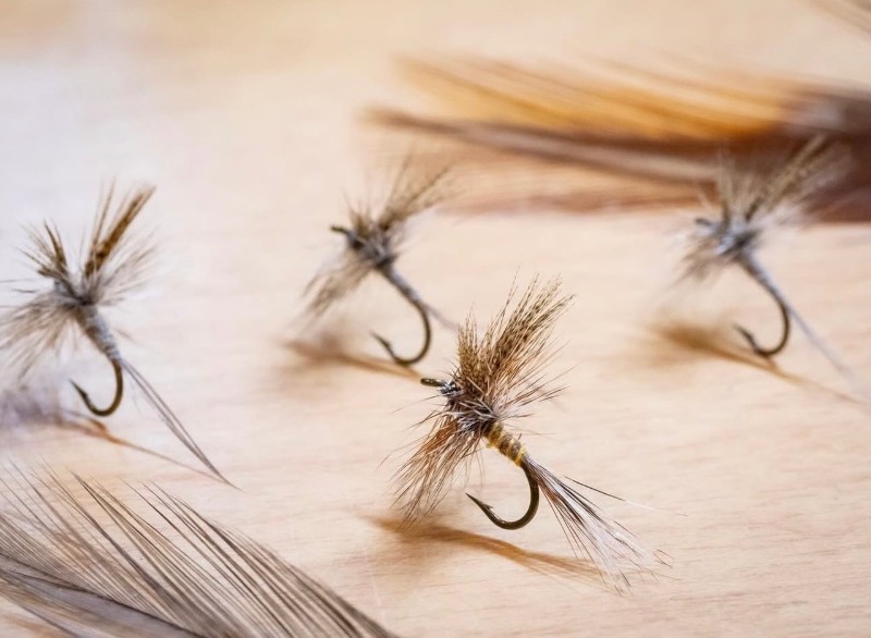 A bunch of dry flies suitable for fly fishing in the Sullivan Catskills. 