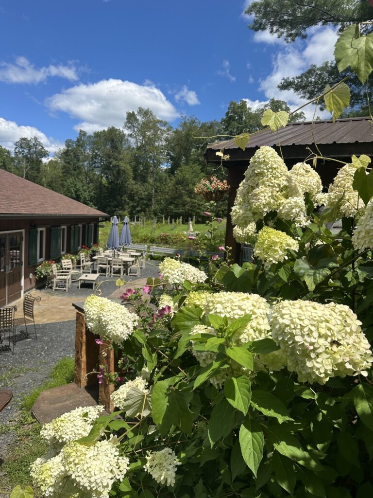 The patio at Bashakill Vineyards with beautiful flowering bushes in the foreground.