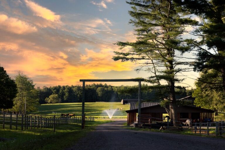 Driftwood Ranch Resort at sunset in Sullivan Catskills.