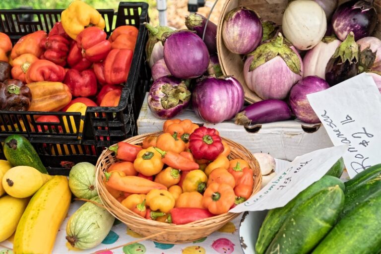 Close up view of fall veggie harvest at a Sullivan Catskills farmers market.