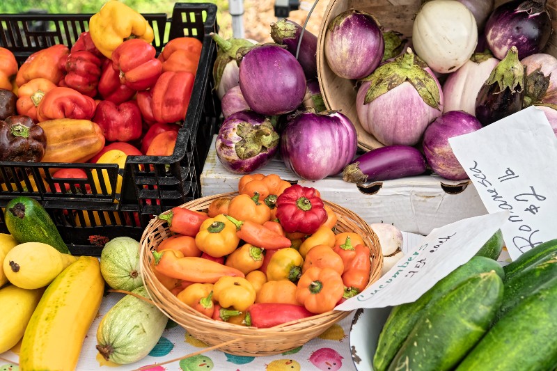 Close up view of fall veggie harvest at a Sullivan Catskills farmers market.